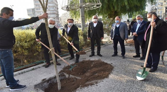 2 yılda 16 bin fidan