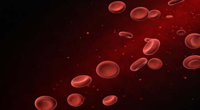 Abnormal blood cell production in myelofibrosis