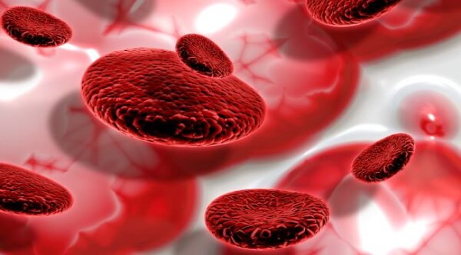 Acute myeloid leukemia clinical trials