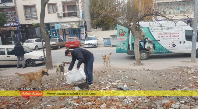 Büyükşehirden Can Dostlarımıza Mama Desteği