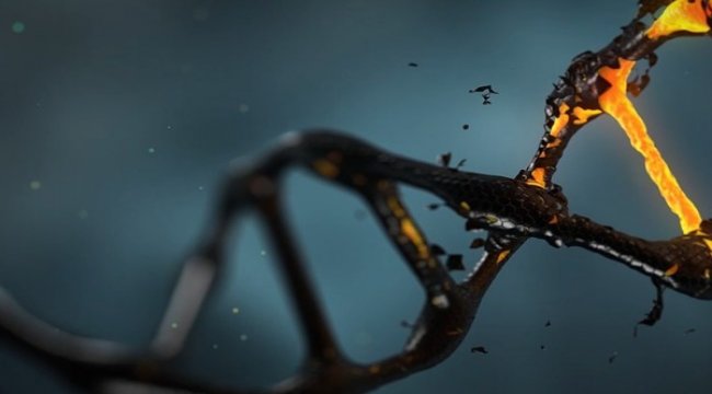 Genetik testler, sporcu için yol gösterici oluyor