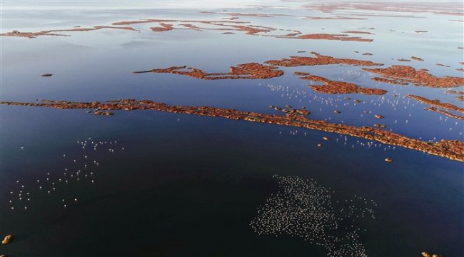 İzmir'in UNESCO adayı Gediz Deltası için birliktelik