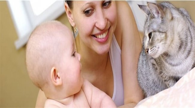 Kedi ve köpeğe alerjisi olanlara alerji aşısı yapılabiliyor