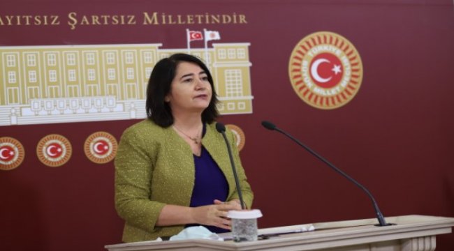 Pekgözegü, HDP'nin asgari ücretin en az 4 bin lira olmasını önerdi