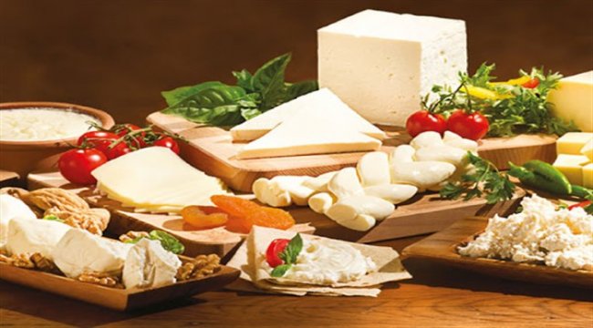 Süt ve süt ürünlerine, Turquality destekleri nelerdir?