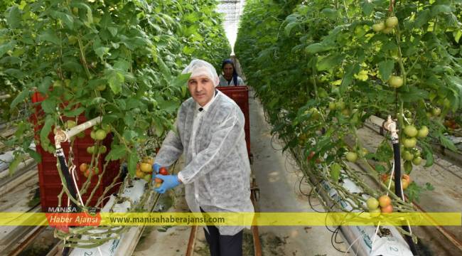 Teknolojik sera varlığında hedef Türkiye birinciliği