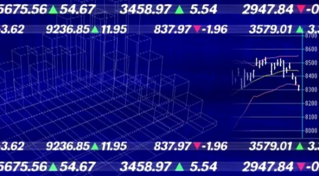 VİOP 30 endeksi