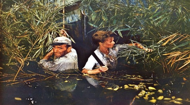 Yıldızlar geçidi devam ediyor