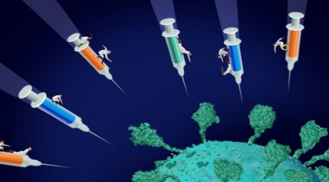 Глава ВОЗ призвал действовать сообща, чтобы в течение первых 100 дней этого года вакцину получили медработники и пожилые люди во всех странах