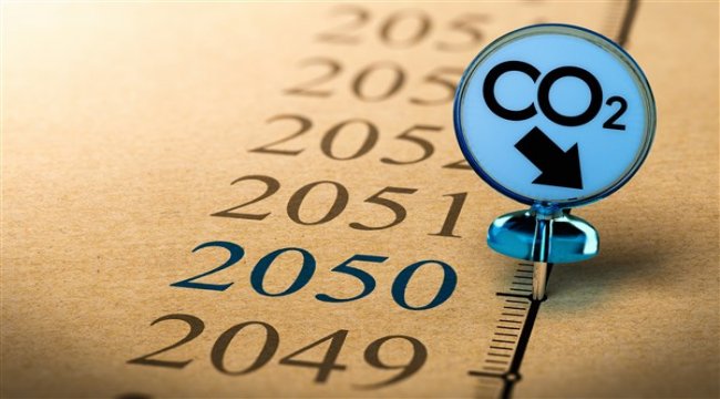 2020 yeni dünya düzeninin tohumuydu