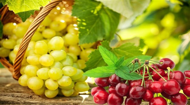 9 üründe pestisit analizleri yapılacak