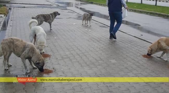 Büyükşehir Can Dostlarımıza Desteğini Sürdürüyor