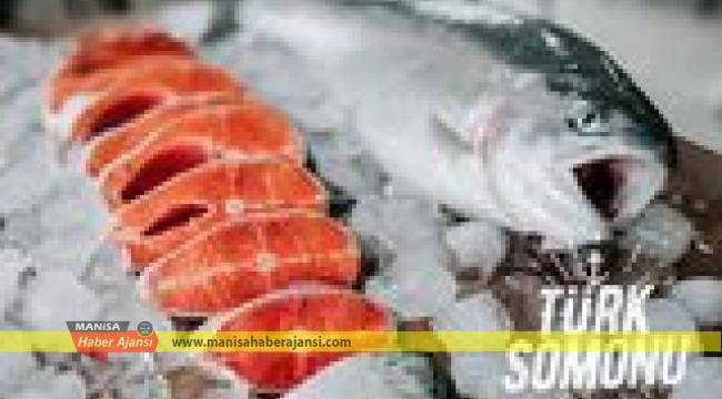 Dünyanın Karadeniz somonuna talebi ikiye katlandı