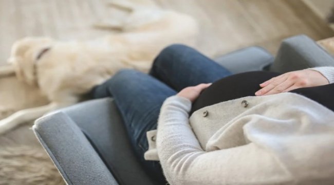 Gebelikte güçlü bir bağışıklık sistemi için 10 etkili öneri