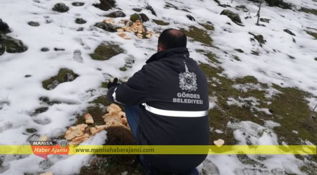 Gördes'te hayvanları unutmadılar