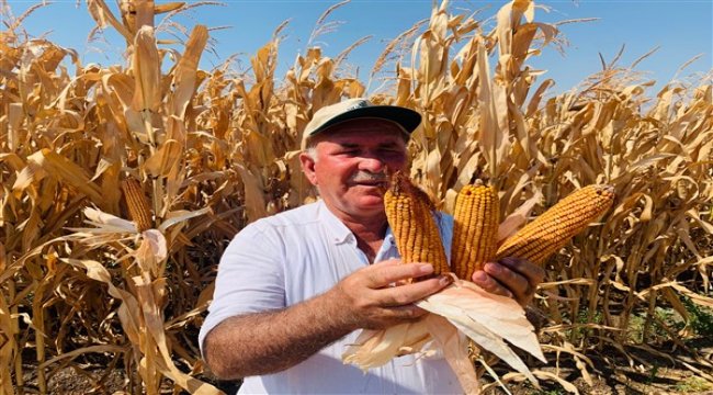 Gübretaş model alanlarla bilinçli tarıma öncülük ediyor