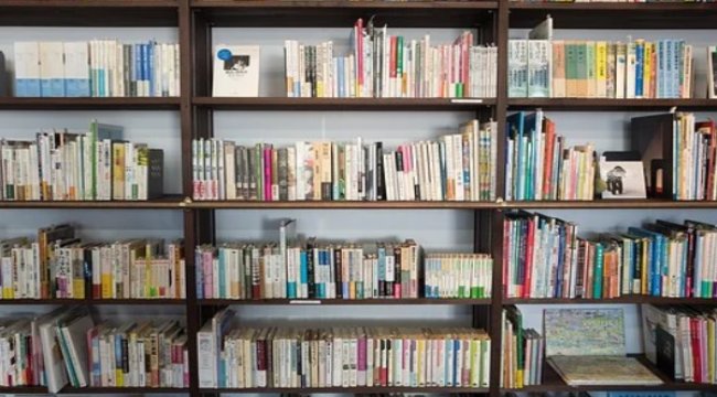 Hikâyeler ve masallar, beyne bilişsel esneklik kazandırıyor