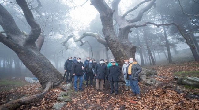 Karşıyaka’nın üstündeki Yamanlar köyü agro turizme açılacak