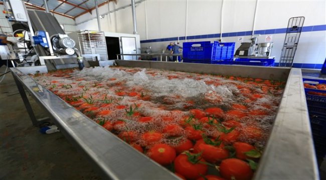 Kurutma Tesisi üreticiye destek sağlamaya devam ediyor