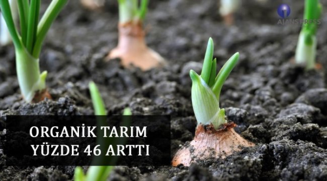 Organik tarım yüzde 46 arttı