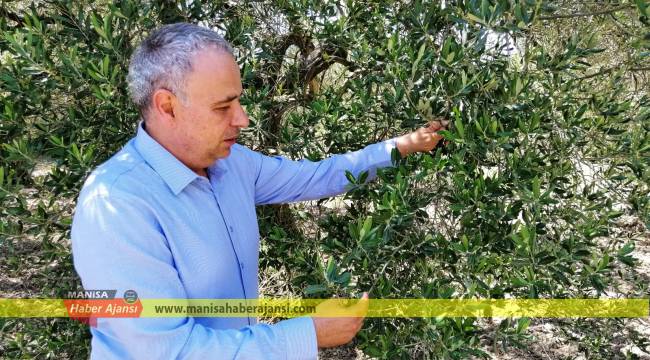 Sahte İçkiden Sonra “Sahte Gübre”…