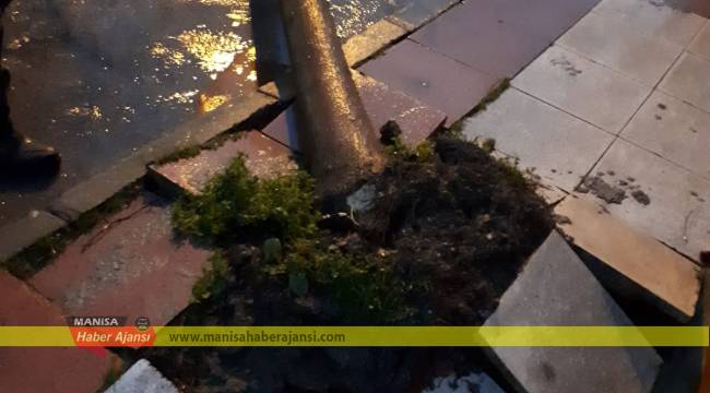 Şehzadeler tüm gece ayaktaydı