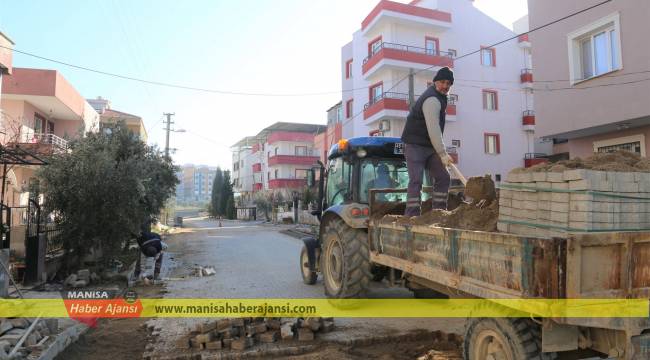 Turgutlu’daki Ağaçlar Sağlıkla Büyüyor