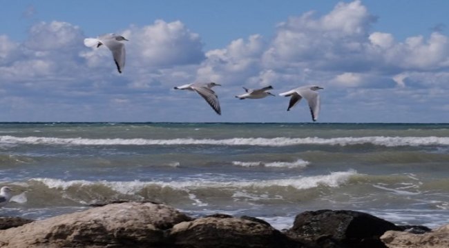 Xəzər öz cazibə səviyyəsini qoruyur