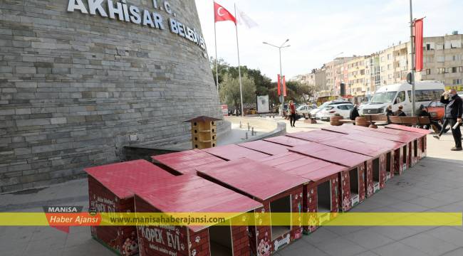 Akhisar Belediyesi Sokak hayvanlarına yuva yapıyor