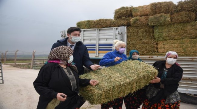 Büyükşehir’den kadın girişimcilere yonca desteği
