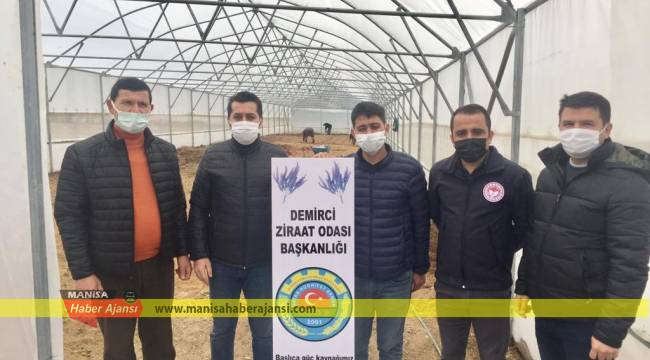 Büyükşehir’in Serası Sayesinde, Demirci Lavanta Kokacak