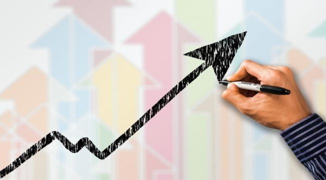 DYO Boya, SPK ve Ticaret Bakanlığına başvuracak
