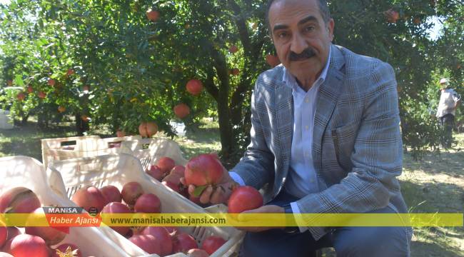 Pandemi döneminde nara ilgi arttı