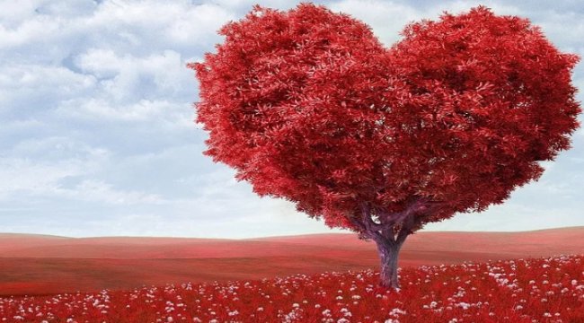 Pandemide sabır arttı, aşkta sular duruldu