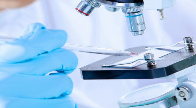 Polifarma Rapid test onayı ile ilklere imza atmaya devam ediyor