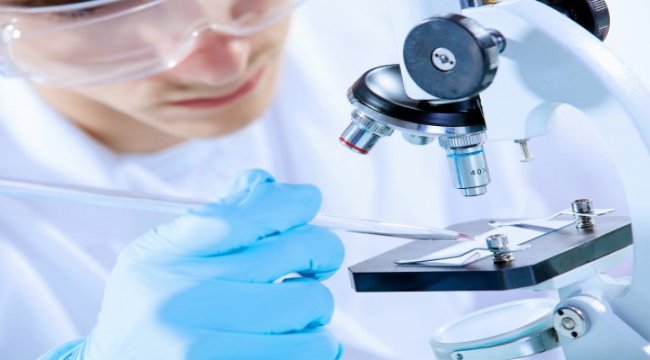 Polifarma Rapid Test Onayı ile ilklere imza atmaya devam ediyor