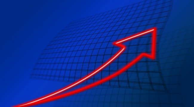 Sasa'da kar payı dağıtımı