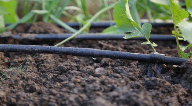 Yağmur suyu Kadıköy’e hayat verecek