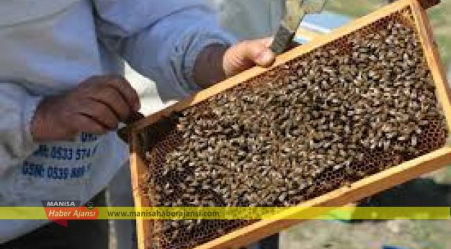 YUNUSEMRE ARICILARA KOVAN DAĞITACAK
