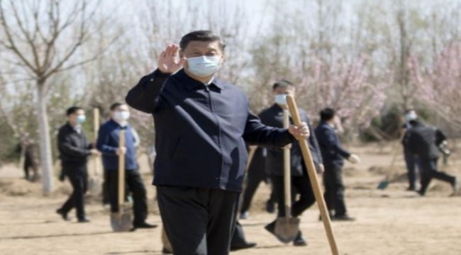 1.5 milyar Çinli, ağaç dikmek için buluştu