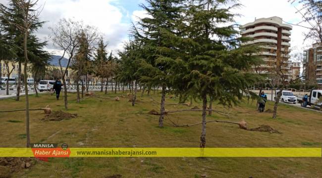 3 Günde Tam 450 Tane Ağaç Dikildi