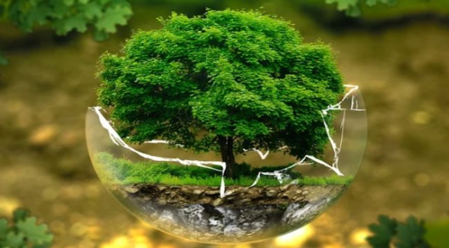 6,4 bin ton atığı ekonomiye geri kazandırdı