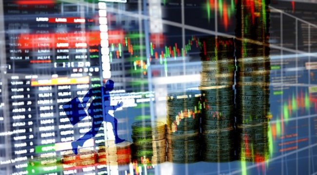 Adese'de denetçi belirlendi