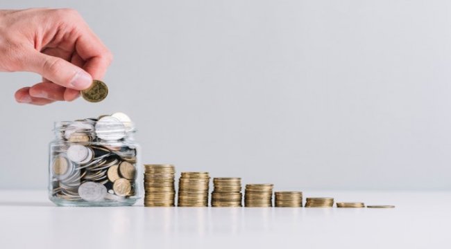 Anel Elektrik, kar dağıtmayacak