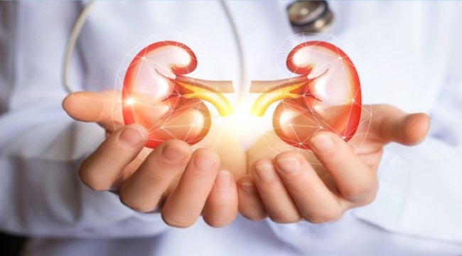 Böbrek hastalığında kaliteli yaşam mümkün