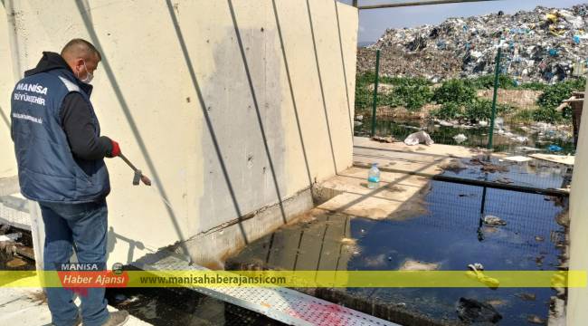 Büyükşehir'in Haşere İle Mücadelesi Devam Ediyor