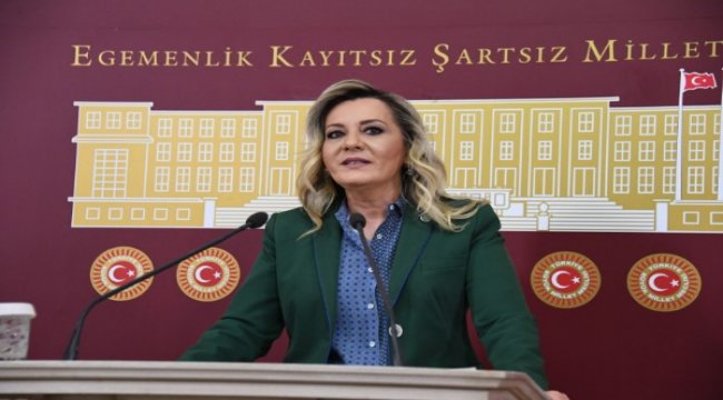 Cesur, “Bu karar Süleyman Demirel’i sevenleri üzmüştür.”