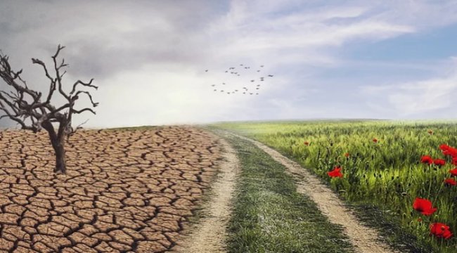 Dünya Saati’nin ana destekçisi