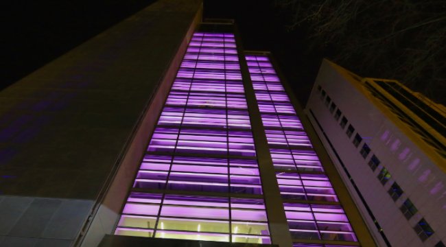 Epilepsi farkındalığı için mora bürünüyor