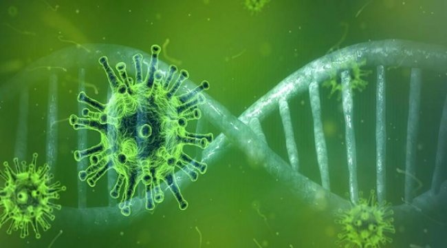 KKTC’de saptanan SARS-CoV-2’nin genom haritasını çıkardı